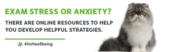 Exam stress or anxiety? There are online resources to help you develop helpful strategies